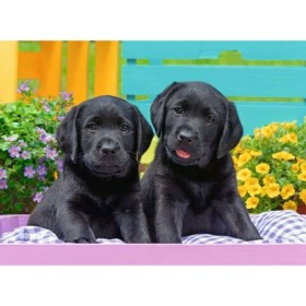Puzzle Catelusi, 300 Piese Ravensburger - 1